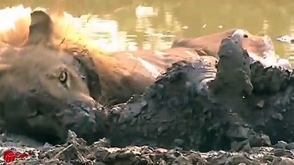 삼척출장안마 -후불100%ョO7OV5222V6739｛카톡CS69｝ 삼척전지역출장안마 삼척오피걸 삼척출장마사지 삼척출장안마 삼척출장마사지 삼척콜걸샵안마 삼척출장아로마 삼척출장안마후기⻗ぴ◍삼척출장풀코스예약