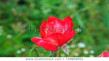 횡성출장안마 -후불100%ョØ7ØE7575E0069｛카톡RD654｝-횡성전지역출장안마 횡성오피걸 횡성출장마사지 횡성출장안마 횡성출장아로마 횡성출장안마후기⊉≙∈횡성출장샵풀코스예약