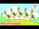 Five Little Ducks - Learn Counting Numbers | Number Song | KinToons