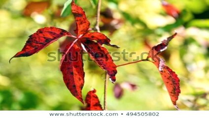 진주출장안마 -후불100%ョOiOE2997E5327｛카톡WD777｝-진주전지역출장안마 진주오피걸 진주출장마사지 진주출장안마 진주출장마사지 진주출장안마후기 진주출장아로마⾯◙◍진주출장샵마사지