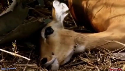 진해출장안마 -후불100%ョØ7ØE7575E0069｛카톡RD654｝ 진해전지역출장안마 진해오피걸 진해출장마사지 진해출장안마 진해출장마사지 진해콜걸샵안마 진해출장아로마 진해출장안마후기≜㌎◦진해출장풀코스예약