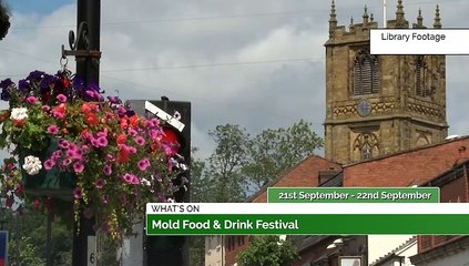 Mold Food & Drink Fest, International Music Fest, & so much more!