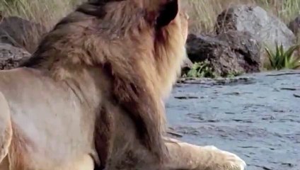 문막출장안마 -후불100%ョO7OW5222W7802｛카톡VV23} 문막전지역출장안마 문막오피걸 문막출장마사지 문막출장안마 문막출장마사지 문막콜걸샵안마 문막출장아로마 문막출장안마후기ぺ∍≿문막출장샵마사지