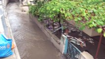 İçereköy'de şiddetli yağış sonrası evleri su bastı, yollar göle döndü