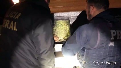 PF e PRF apreendem 276 quilos de cocaína em barco na BR-277