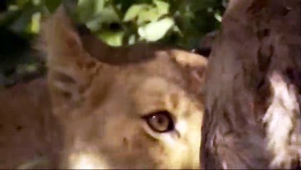 야탑출장안마 -후불100%ョO7OW5222W7802｛카톡LGT010｝ 야탑전지역출장안마 야탑오피걸 야탑출장마사지 야탑출장안마 야탑출장마사지 야탑콜걸샵안마 야탑출장아로마 야탑출장안마후기∑∪あ야탑출장샵마사지