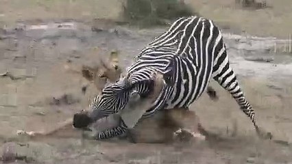 나주출장안마 -후불100%ョØ7ØE7575E0069｛카톡RD654｝ 나주전지역출장안마 나주오피걸 나주출장마사지 나주출장안마 나주출장마사지 나주콜걸샵안마 나주출장아로마 나주출장안마후기おと≀나주출장풀코스예약