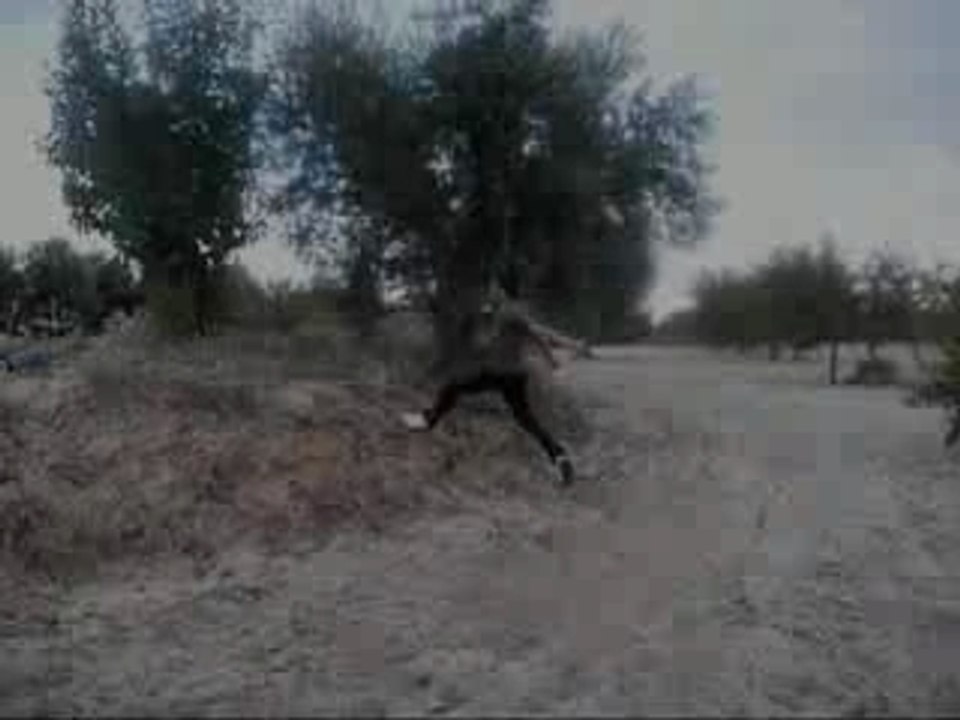 El Video De Habilidad Urbana 2 (street stunts)parkour puebla