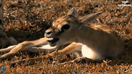 조치원출장안마 -후불100%ョO7OV5222V6739｛카톡CS69｝ 조치원전지역출장안마 조치원오피걸 조치원출장마사지 조치원출장안마 조치원출장마사지 조치원콜걸샵안마 조치원출장아로마 조치원출장안마후기㍓㌸≜조치원출장샵