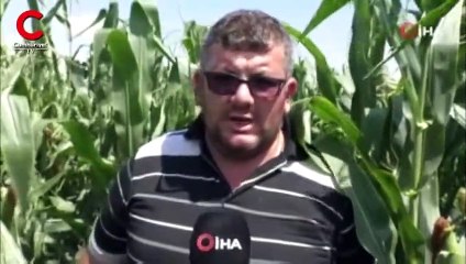 Yer: Sivas... Hayatında ilk kez gördü: Korkuyoruz