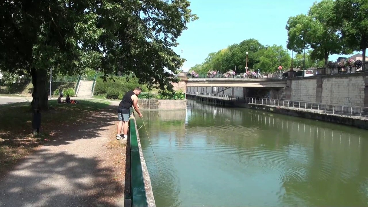 Qu'est ce qu'on pêche à Mulhouse?
