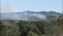 Dy vatra zjarri shkrumbojnë ullishtet në Patos, terreni vështirëson ndërhyrjen e zjarrfikësve