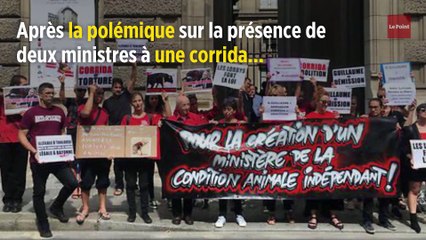 Aurore Bergé veut interdire l'accès des corridas aux mineurs