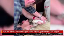 TOKAT Kafası boruya sıkışan yavru kediyi, yönetmen Erol Koçan kurtardı