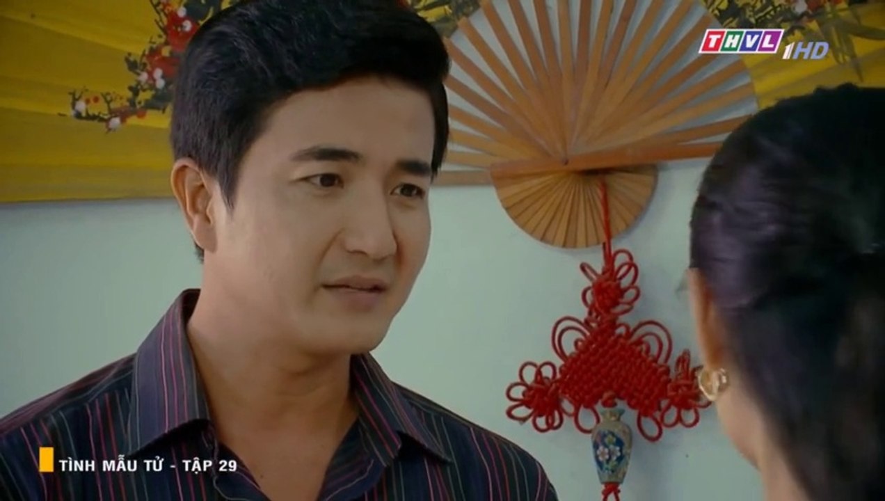 Tình Mẫu Tử Tập 29 - Bản Chuẩn - Phim Việt Nam THVL1 - Phim Tinh Mau Tu Tap 29