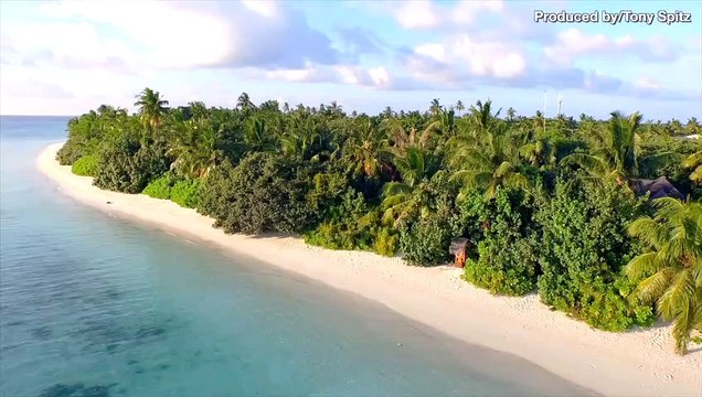 Ever Dreamt of Owning a Private Island? Now You Can… Sort Of