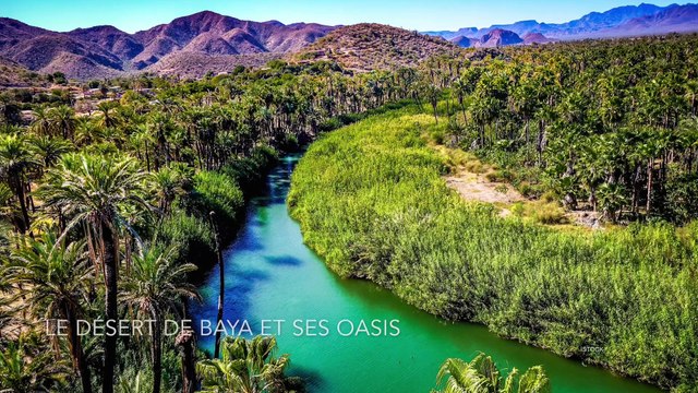 Le plus beaux paysages du Mexique