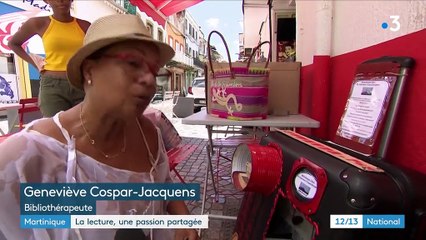 Martinique : des bibliothèques en libre-service dans les rues de Fort-de-France