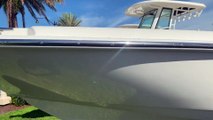 2020 Boston Whaler 240 Dauntless CC offered by MarineMax Venice, Fl.