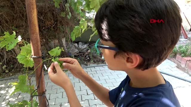 12 yaşındaki Mehmet, hayvan sevgisiyle sosyal medya fenomeni oldu 2