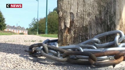 Nord : menacé à la tronçonneuse, un maire porte plainte