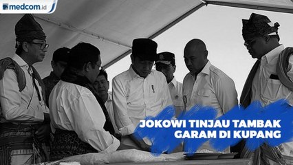Kunjungi NTT, Jokowi Tinjau Tambak Garam