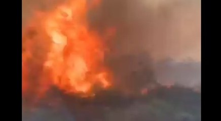 Türkiye İzmir'e odaklanmışken dünyanın akciğerleri 3 haftadır yanıyor