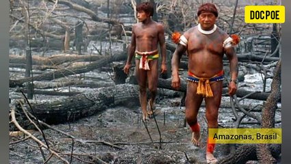 EL MUNDO ESTÁ QUEMÁNDOSE!!!  INCENDIOS AZOTAN IMPORTANTES ZONAS DEL PLANETA