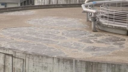 Programa de saneamiento mejora en un 40 % la calidad del agua de la Bahía de Panamá