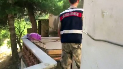 Hint kenevirlerini sularken yakalandı - KAHRAMANMARAŞ