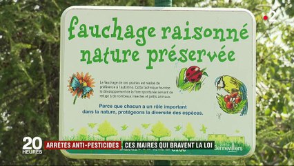 Arrêtés anti-pesticides : ces maires qui bravent la loi