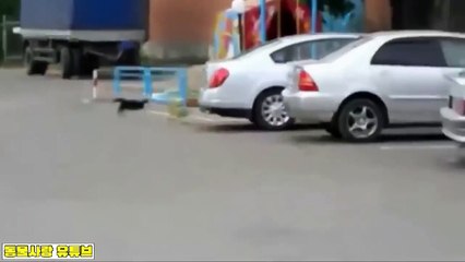 서귀포출장안마 -후불100%ョOiOV5694V2960｛카톡BRO87｝ 서귀포전지역출장안마 서귀포오피걸 서귀포출장마사지 서귀포출장안마 서귀포출장마사지 서귀포콜걸샵안마 서귀포출장아로마서귀포출장안마후기＠У☲서귀포출장샵마사지