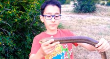 12 yaşındaki Mehmet, hayvan sevgisiyle sosyal medya fenomeni oldu