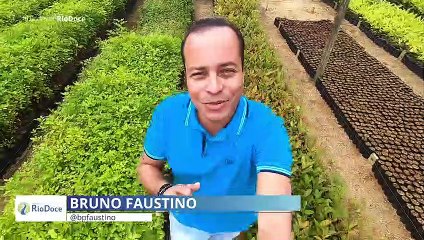 Diários do Rio Doce | Episódio 04