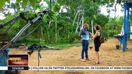 Sustainable Development in Cuban Peninsular Paradise