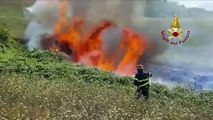 Fabriano (AN) - Incendio ad Argignano, bruciano 5mila metri quadrati di vegetazione (22.08.19)