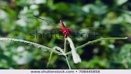 보은출장안마 -후불100%ョØ7ØE7575E0069｛카톡RD654｝-보은전지역출장안마 보은오피걸 보은출장마사지 보은출장안마 보은출장아로마 보은출장안마후기≣⊅け보은출장샵풀코스예약