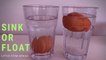 Sink or Float _ Science Experiment for Kids by Little STEM Genius