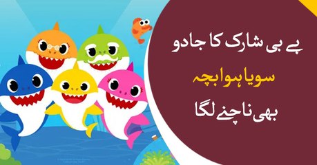 Baby shark poem is gaining more popularity in kids