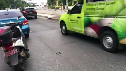Dog Stuck Under Car Rescued By Drivers