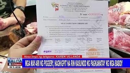Mga may-ari ng piggery, naghigpit na rin kasunod ng pagkamatay ng mga baboy