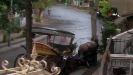 Büyükada’da faytona sürülen at bitkin düştü, faytoncu zorla yerden kaldırmaya çalıştı