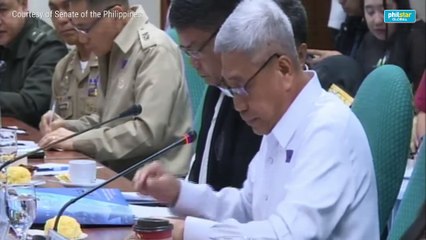 DND: Proposed mandatory ROTC follows international laws