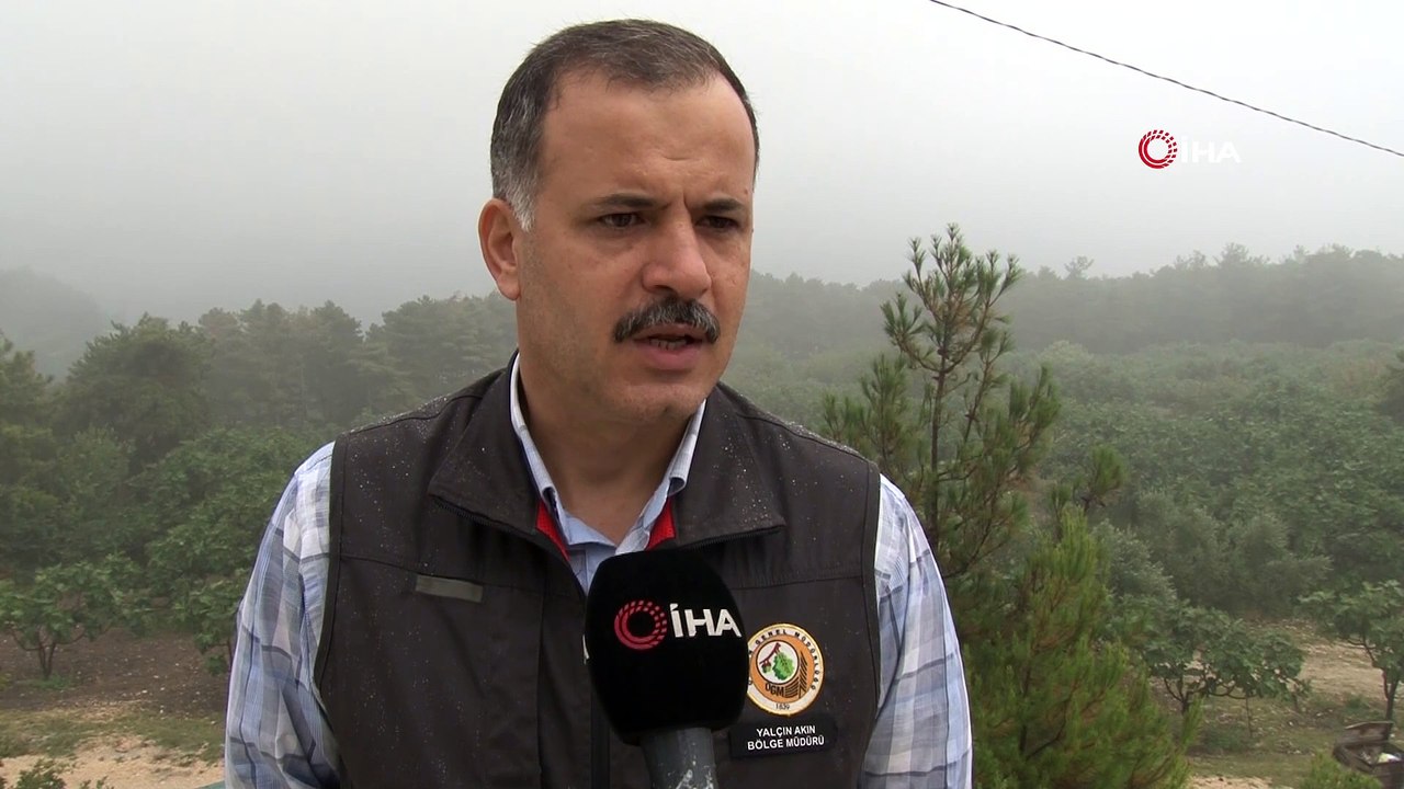 Orhaneli ve Çivili'deki orman yangınlarında sabotaj iddiası