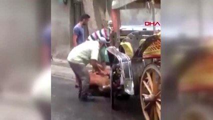 BÜYÜKADA'DA BİR AT DAHA BAYGINLIK GEÇİRDİ