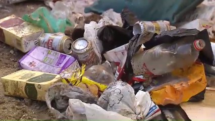 Los servicios de limpieza sacaron una tonelada y media de basura