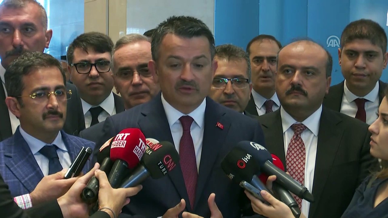 Pakdemirli: 'Apronda 6 tane uçak gözüküyor, 3 tanesinin motorlarının içine kuşlar yuva yapmış' - ANKARA