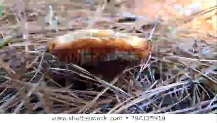 중구출장안마 -후불100%ョØ1ØM2997M5327｛카톡WD777｝-중구전지역출장안마 중구오피걸 중구출장마사지 중구출장안마 중구출장마사지はの㍈중구콜걸샵