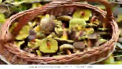 동래출장안마 -후불100%ョØ7ØE7575E0062｛카톡DK654｝-동래전지역출장안마 동래오피걸 동래출장마사지 동래출장안마 동래출장마사지∌㌒∢동래콜걸샵