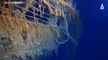 Video: Demir yiyen bakteriler okyanusun dibindeki Titanik'i bitiriyor